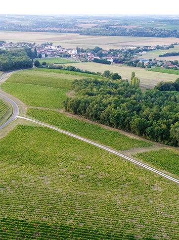 Domaine La Brossette vue du ciel